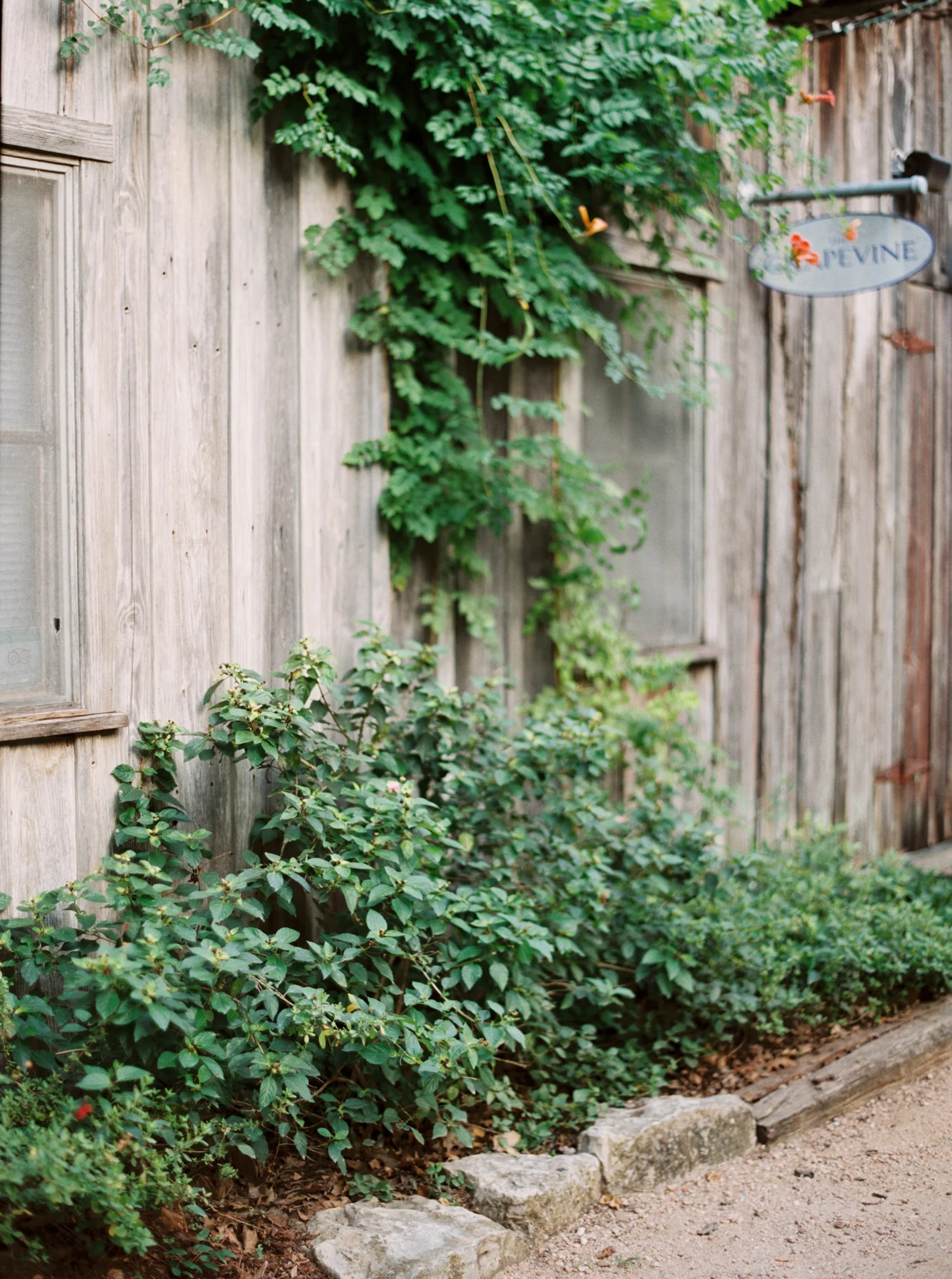 Gruene-70.jpg
