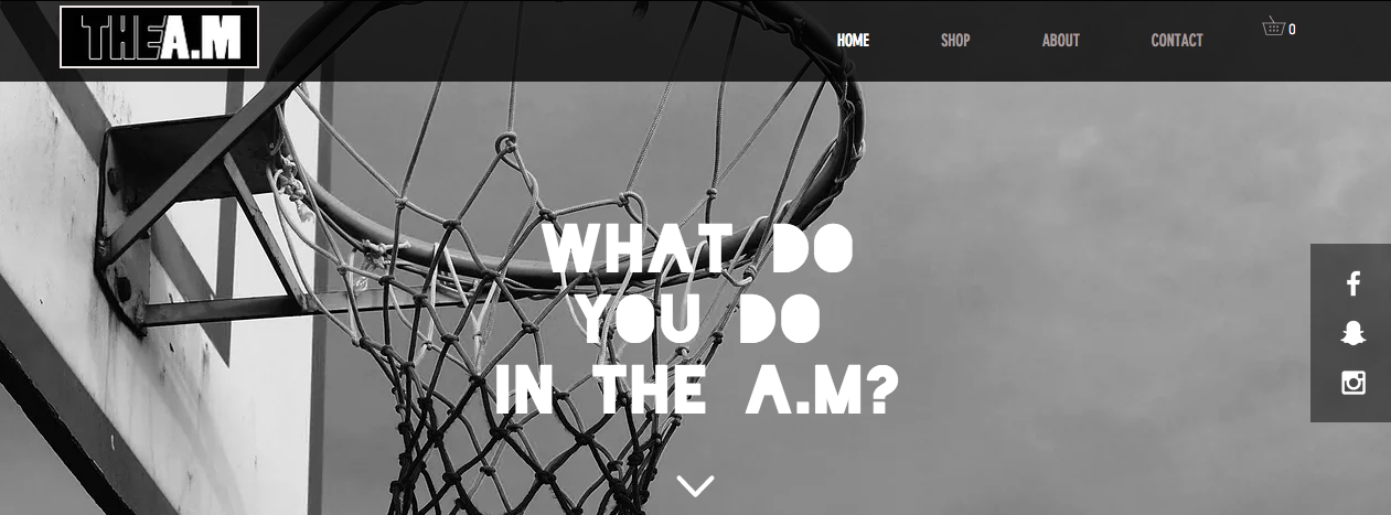 Screen Shot 2017-01-24 at 1.06.47 pm.png