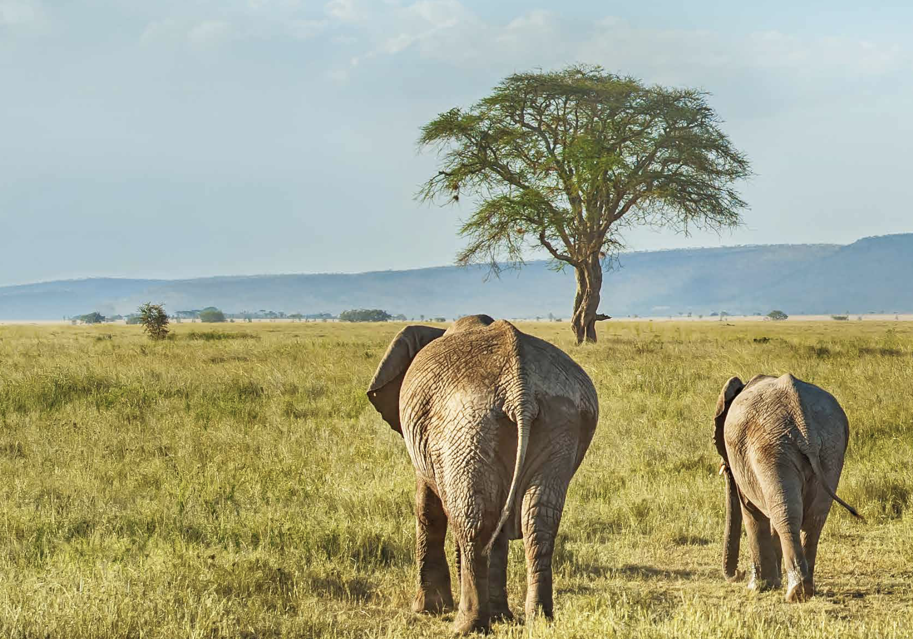 Screen Shot 2020-12-10 at 1.25.03 pm.png