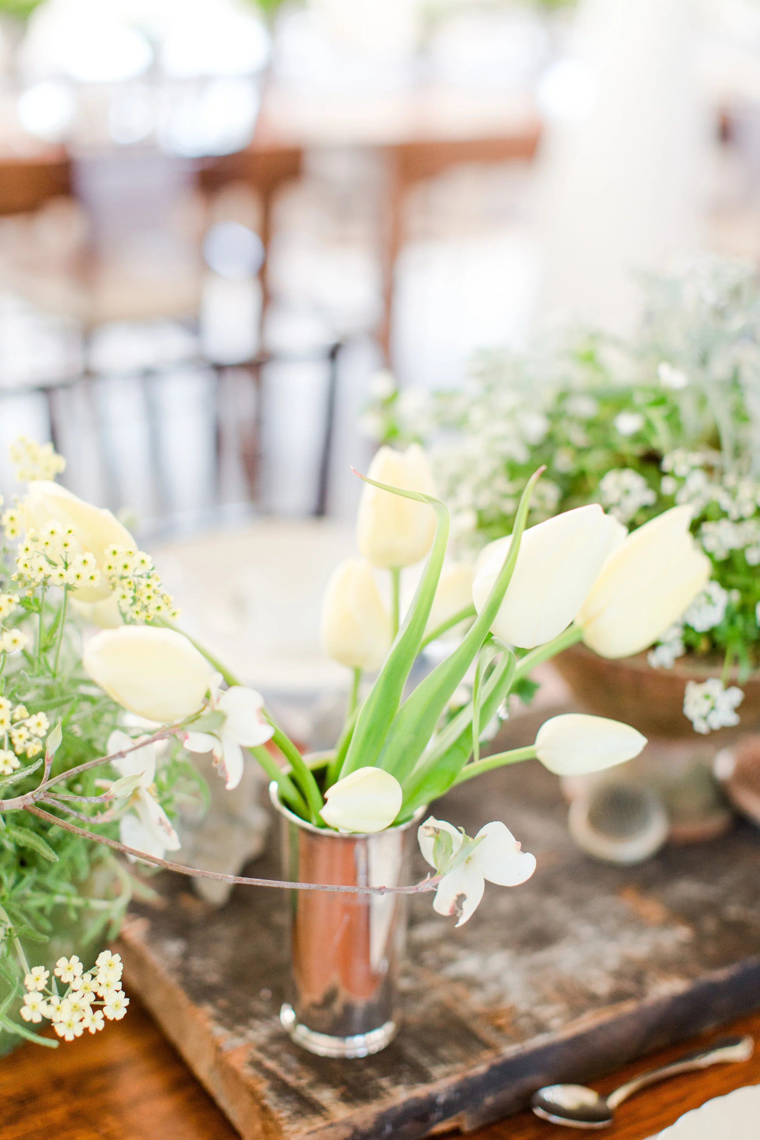 48-fields-farm-leesburg-va-tuesdays-together-styled-dinner-37.jpg