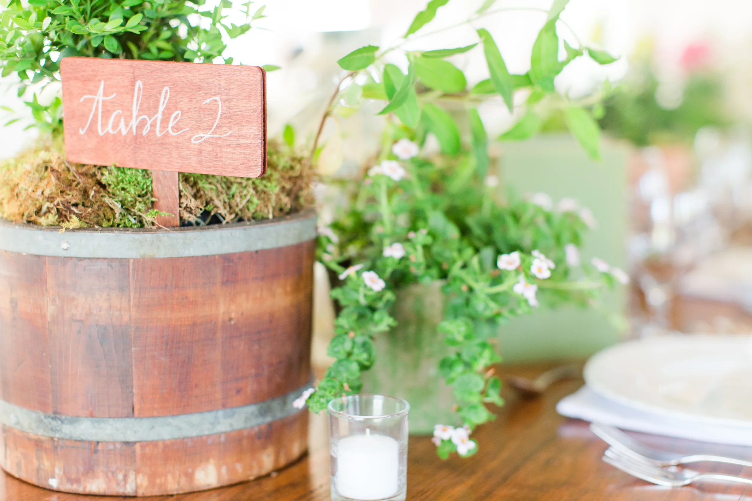 48-fields-farm-leesburg-va-tuesdays-together-styled-dinner-70.jpg