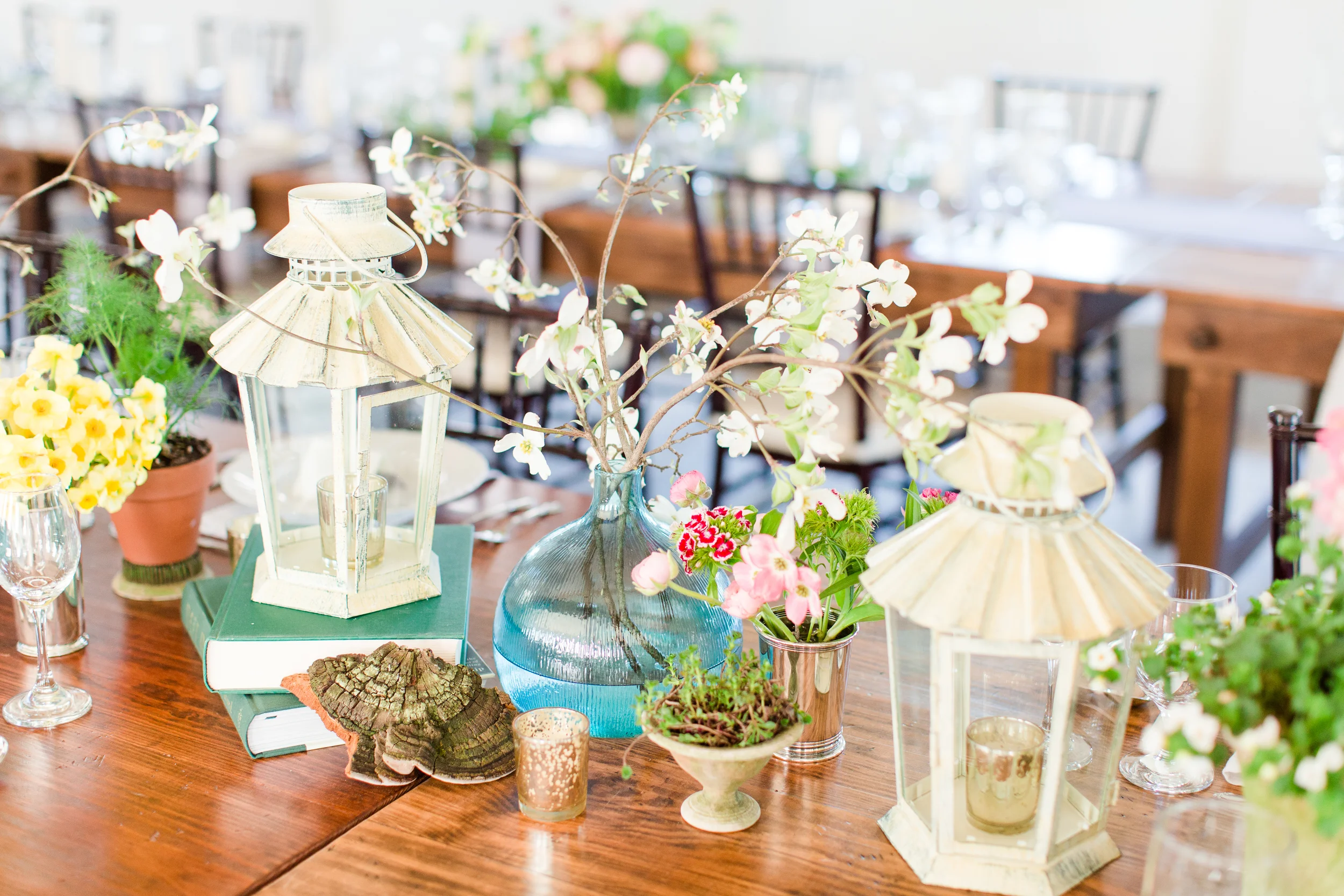 48-fields-farm-leesburg-va-tuesdays-together-styled-dinner-75.jpg