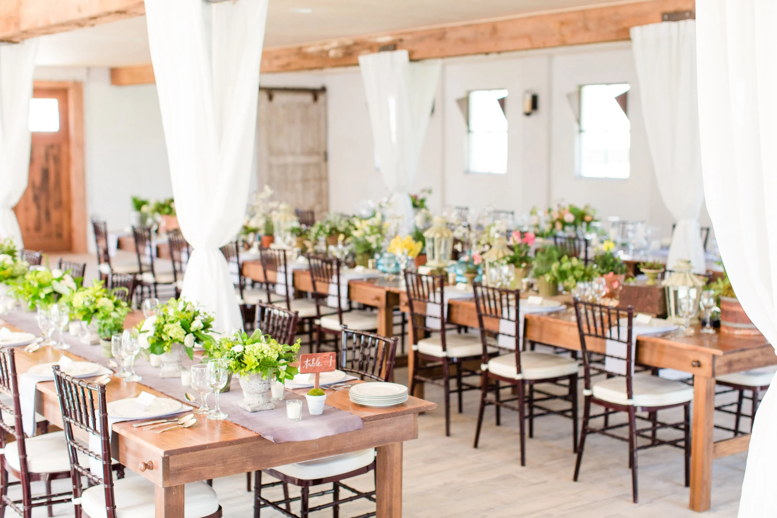 This was one of my favorite photos of the evening. The late afternoon light was perfect and it shows off each of the table designs.