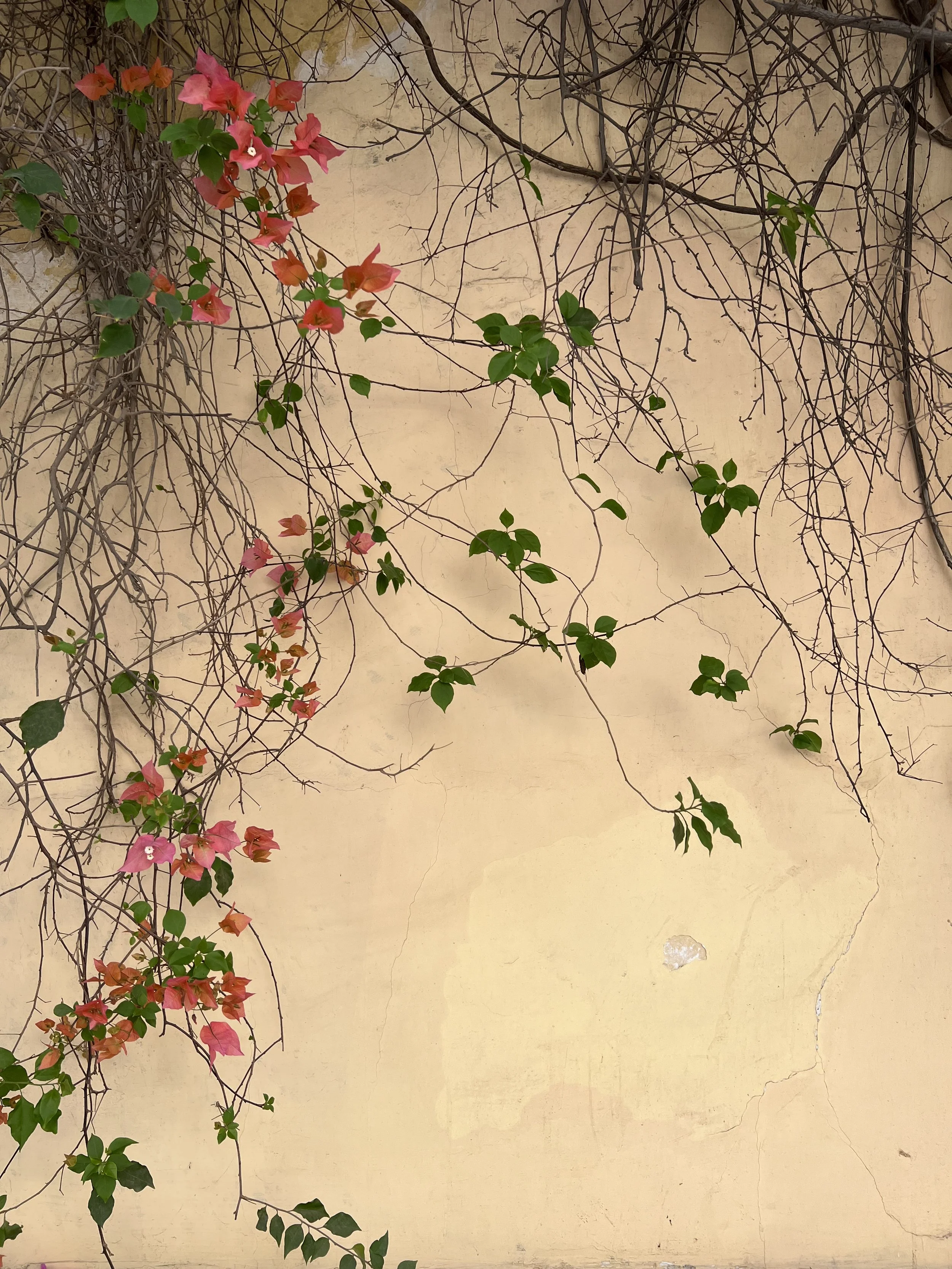 Destination Inspiration