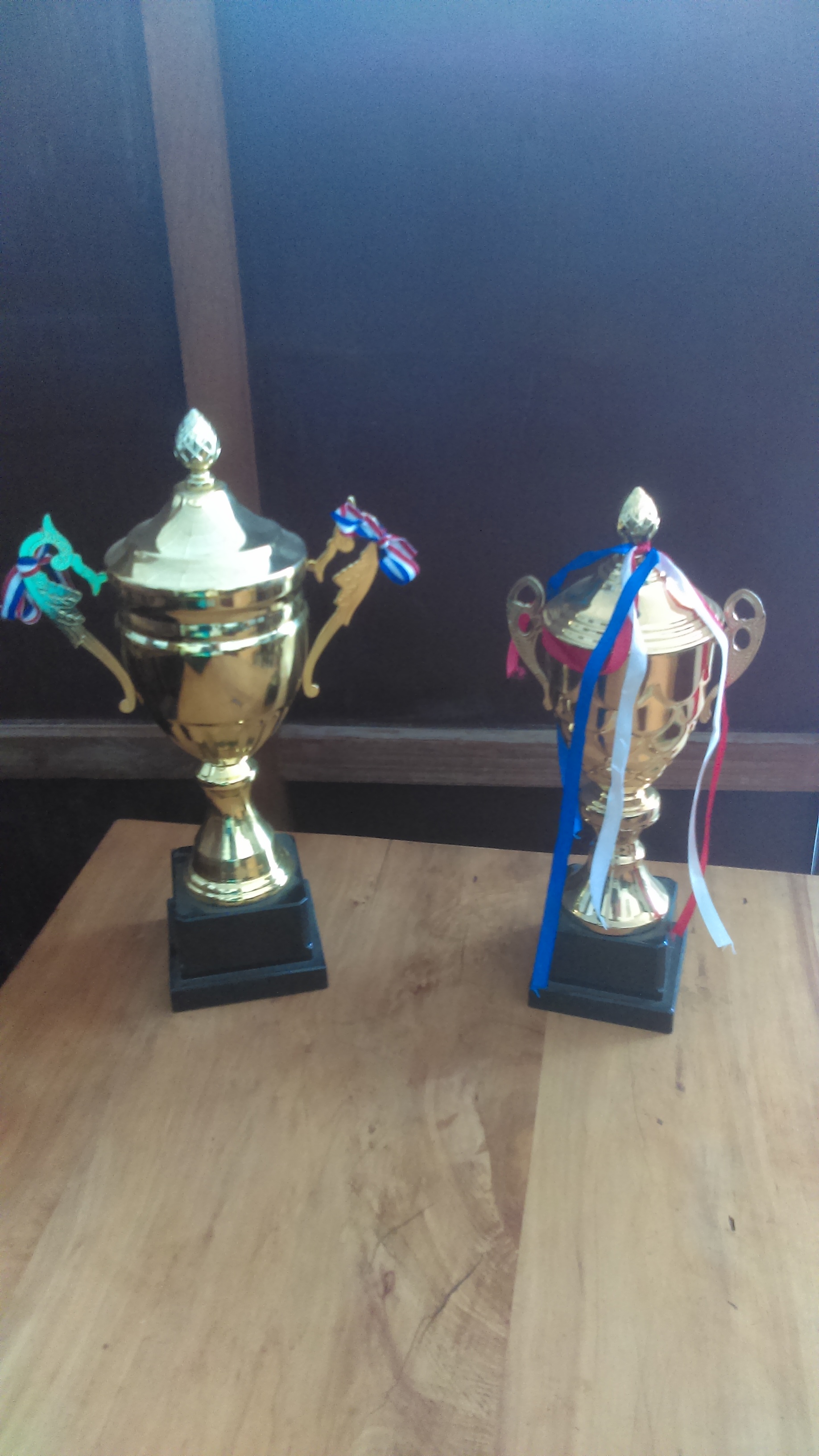 Trophies for the Junior and Youth teams who finished first in their tournaments.