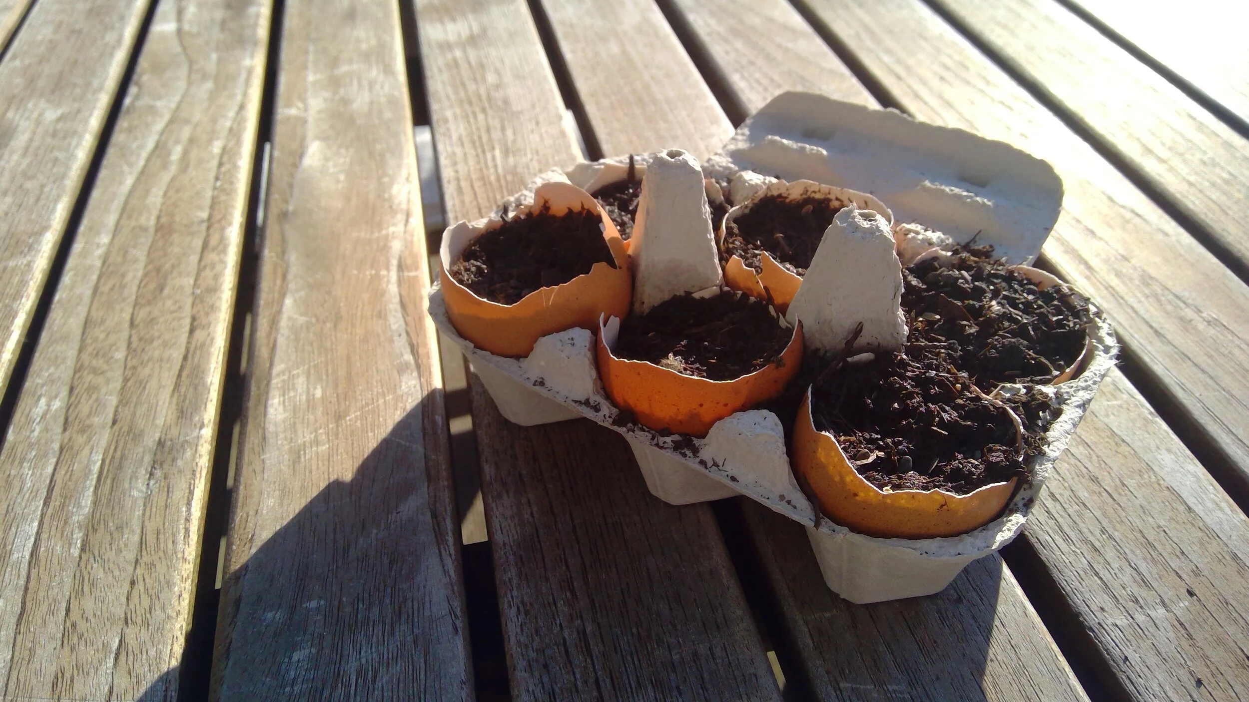 Ein Gärtchen aus Ei!