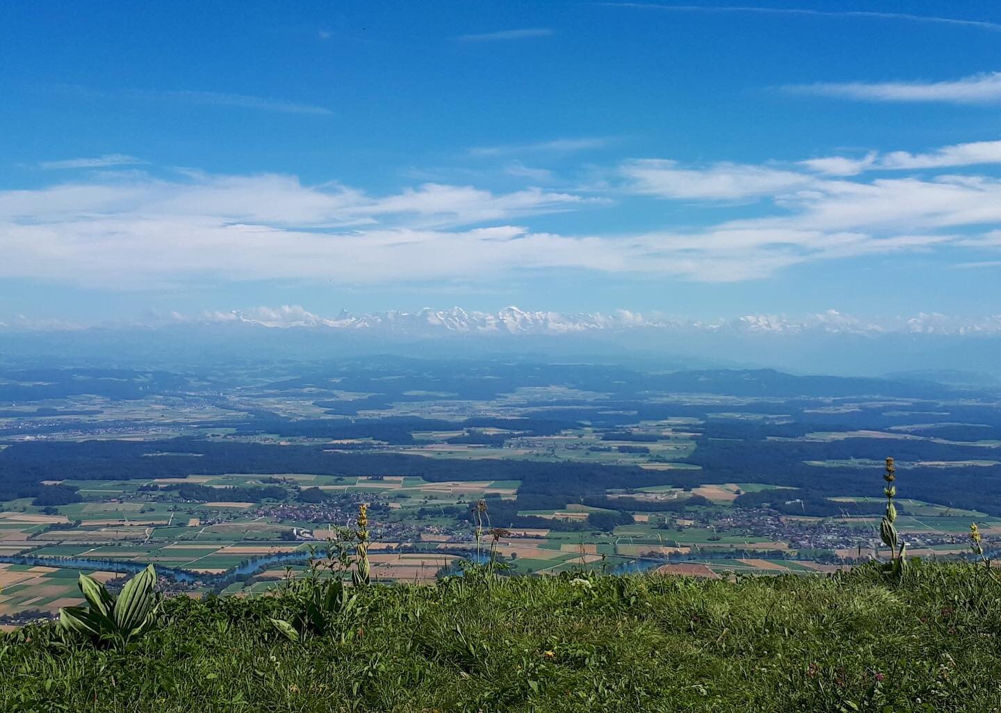 Traumhaft blauer Himmel und eine wundersch&ouml;ne Aussicht. Was will man mehr?

#sch&ouml;neaussicht #SoLa #lager #sommerlager #lagerleben #camp #pfadilager #pfadiseebuebegoldach #seebuebe #pfadigoldach #goldach #pfadif&auml;gt
#pfadibewegt #pfadisg