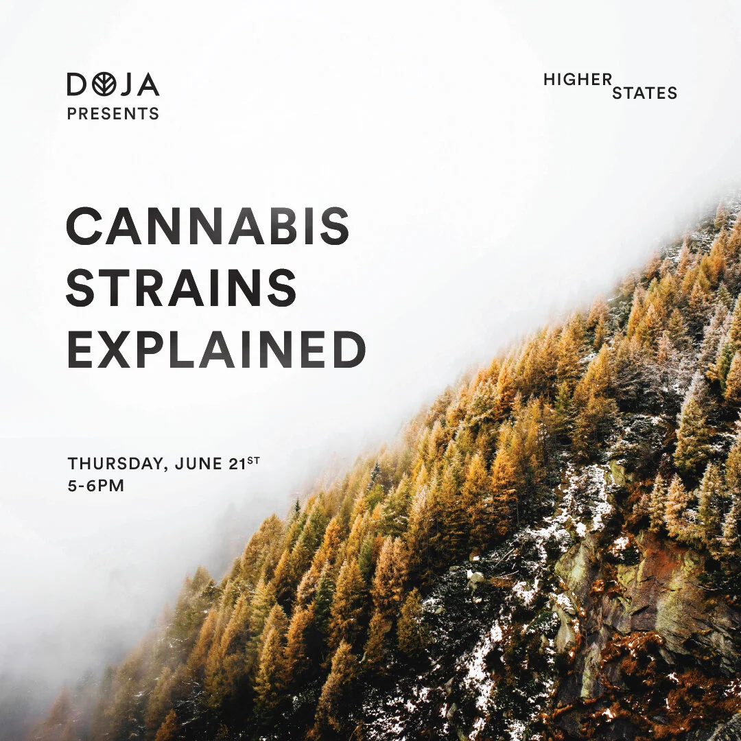 DOJA-HS-Insta-300518.jpg