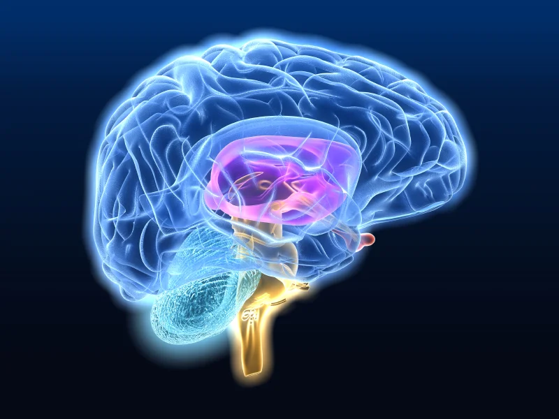 iStock_000009504106Small.jpg