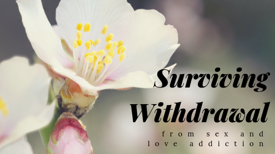 title_surviving_withdrawal_from_sex_and_love_addiction_restored_hope_counseling_therapy_ann_arbor_novi_michigan_christian.png