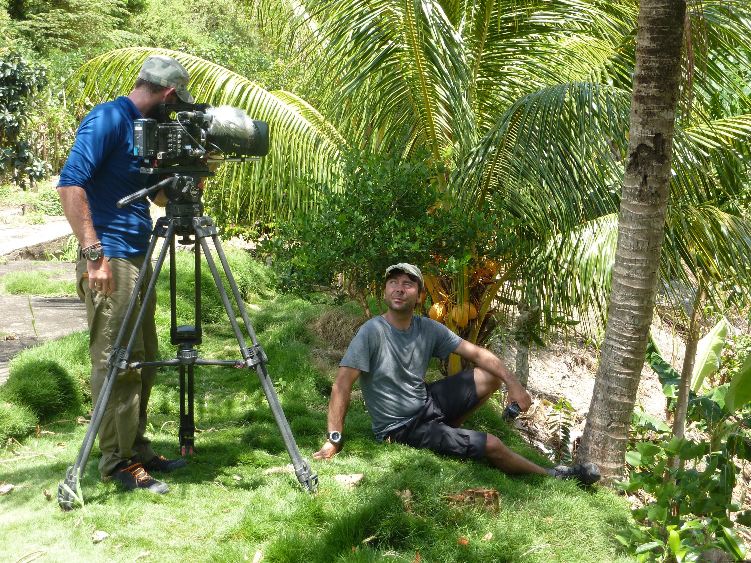 A man in a gray shirt sits on the grass next to a palm tree, looking up. Another man in a blue shirt and beige pants uses a professional video camera on a tripod to film him in a lush, green, tropical garden.