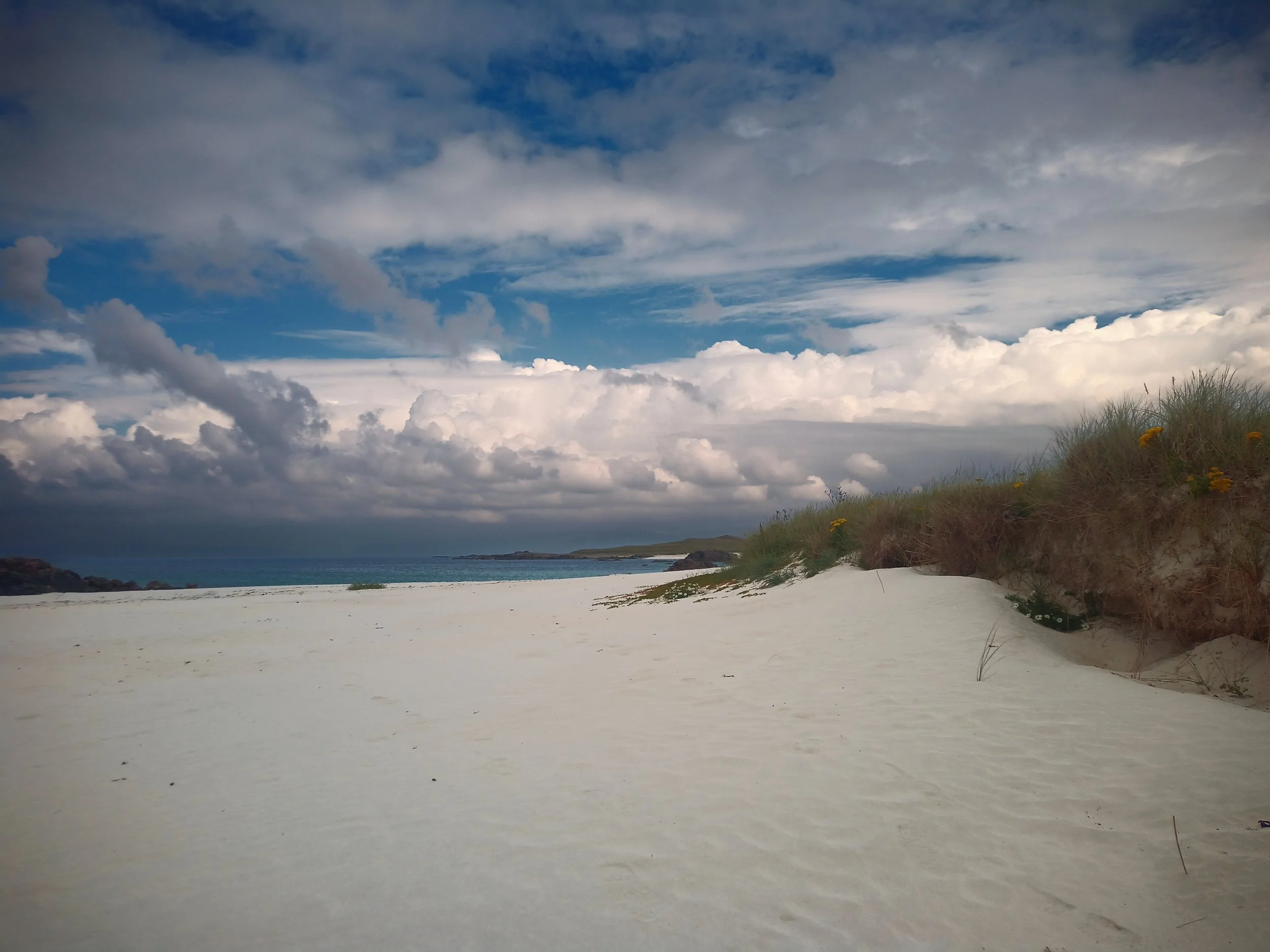 A sandy beach with dunes and green grass, along with a cloudy sky over the ocean in the background.