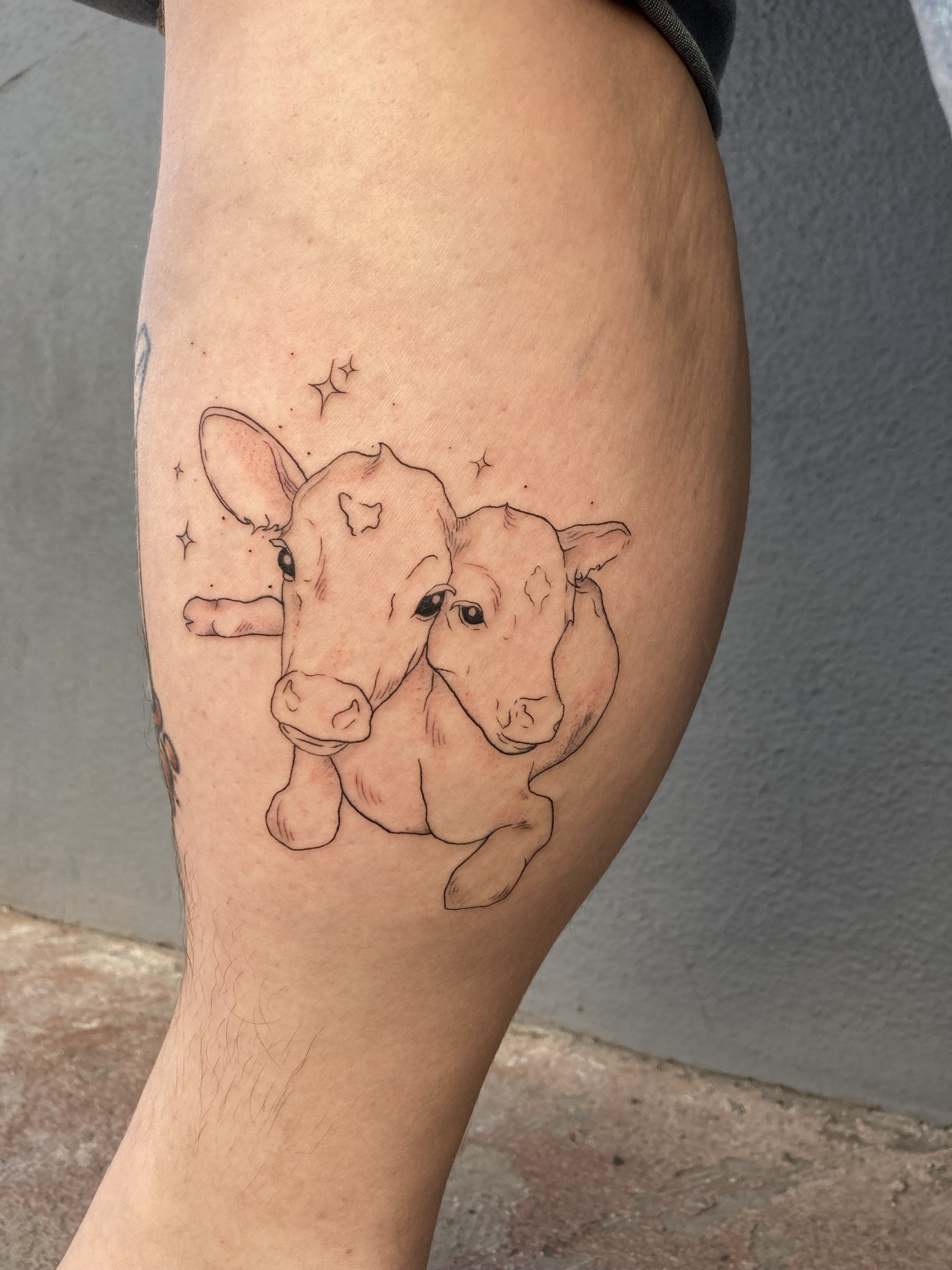 double the cuteness for jennachronister  based off the poem two headed  calf by Laura Gilpin  love this  tattoos fyp  Instagram
