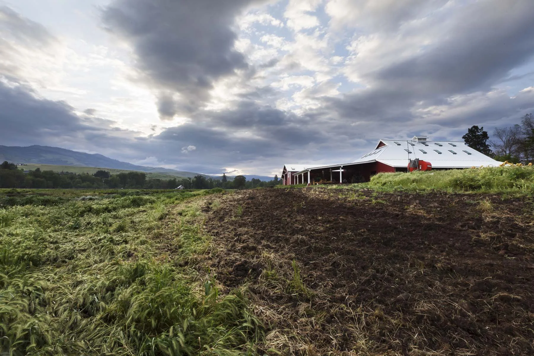 ff farm 050716_0132_web.jpg