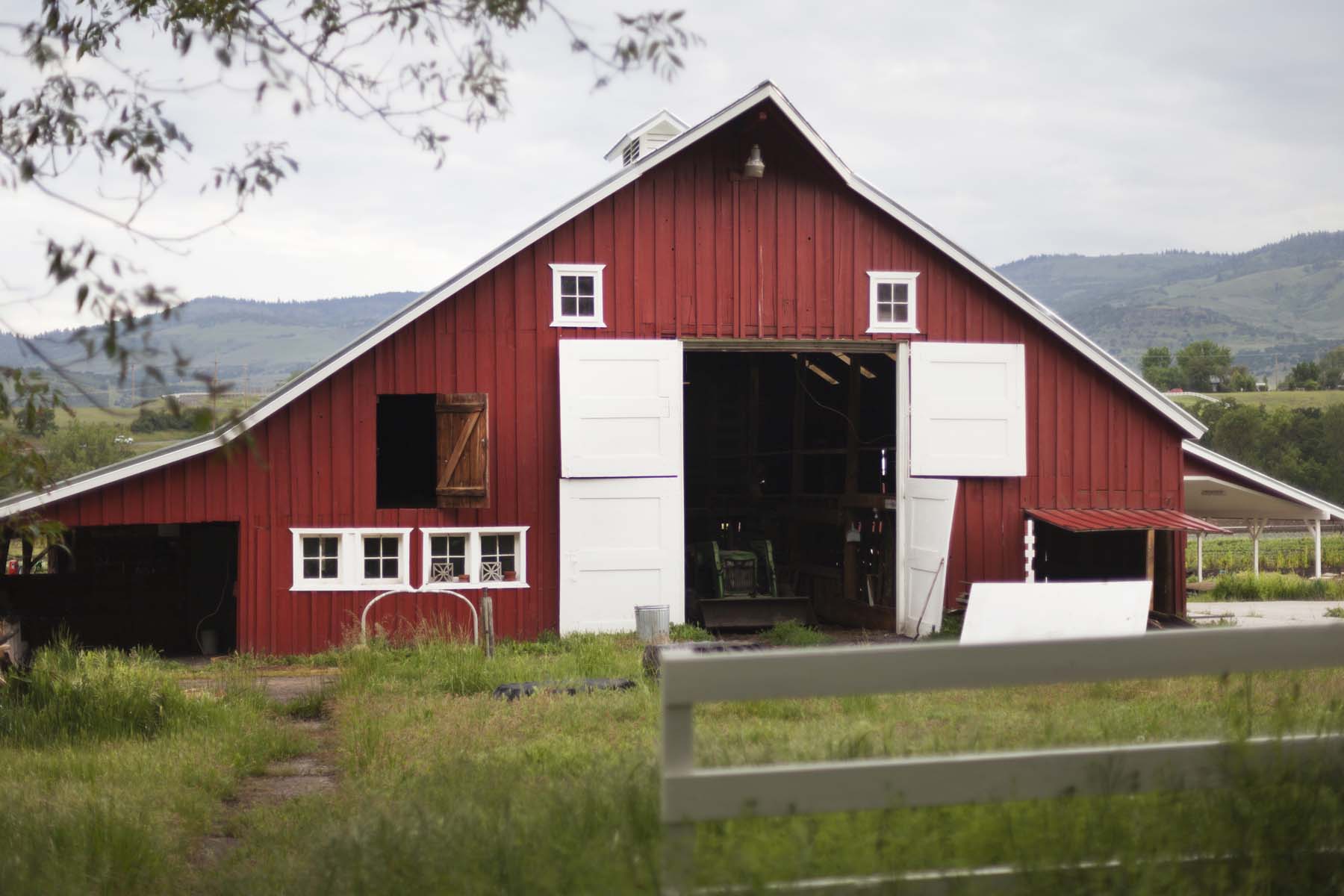 ff farm 050716_0151_web.jpg