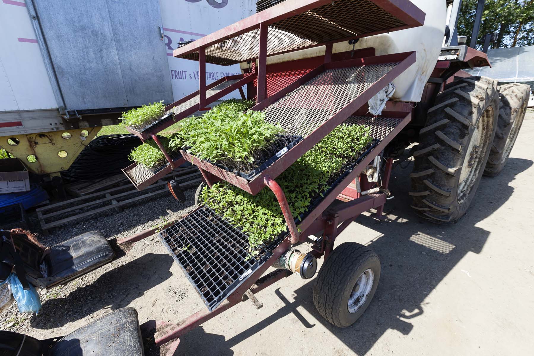 ff farm 050716_0294_web.jpg