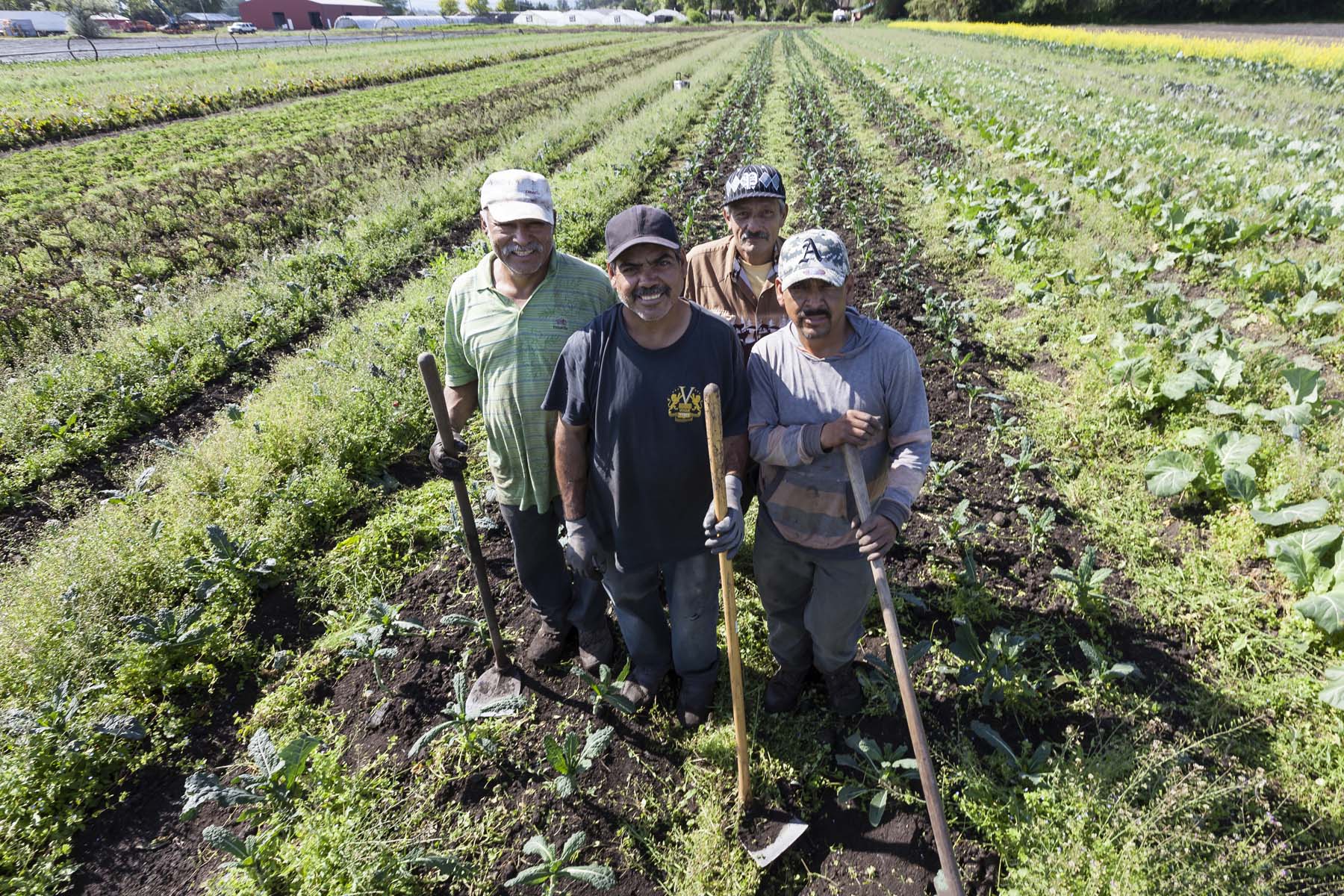 ff farm 050716_0281_web.jpg
