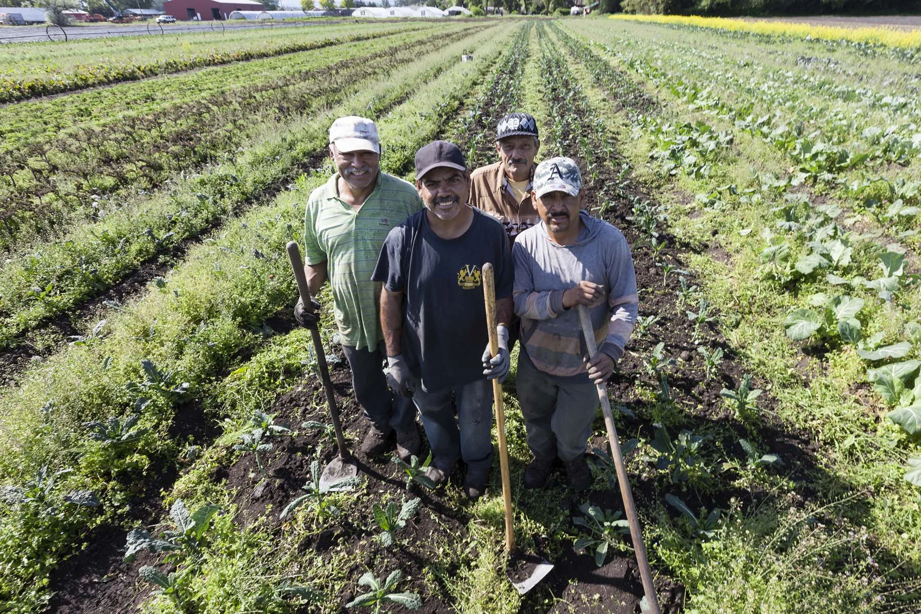 ff farm 050716_0281_web.jpg