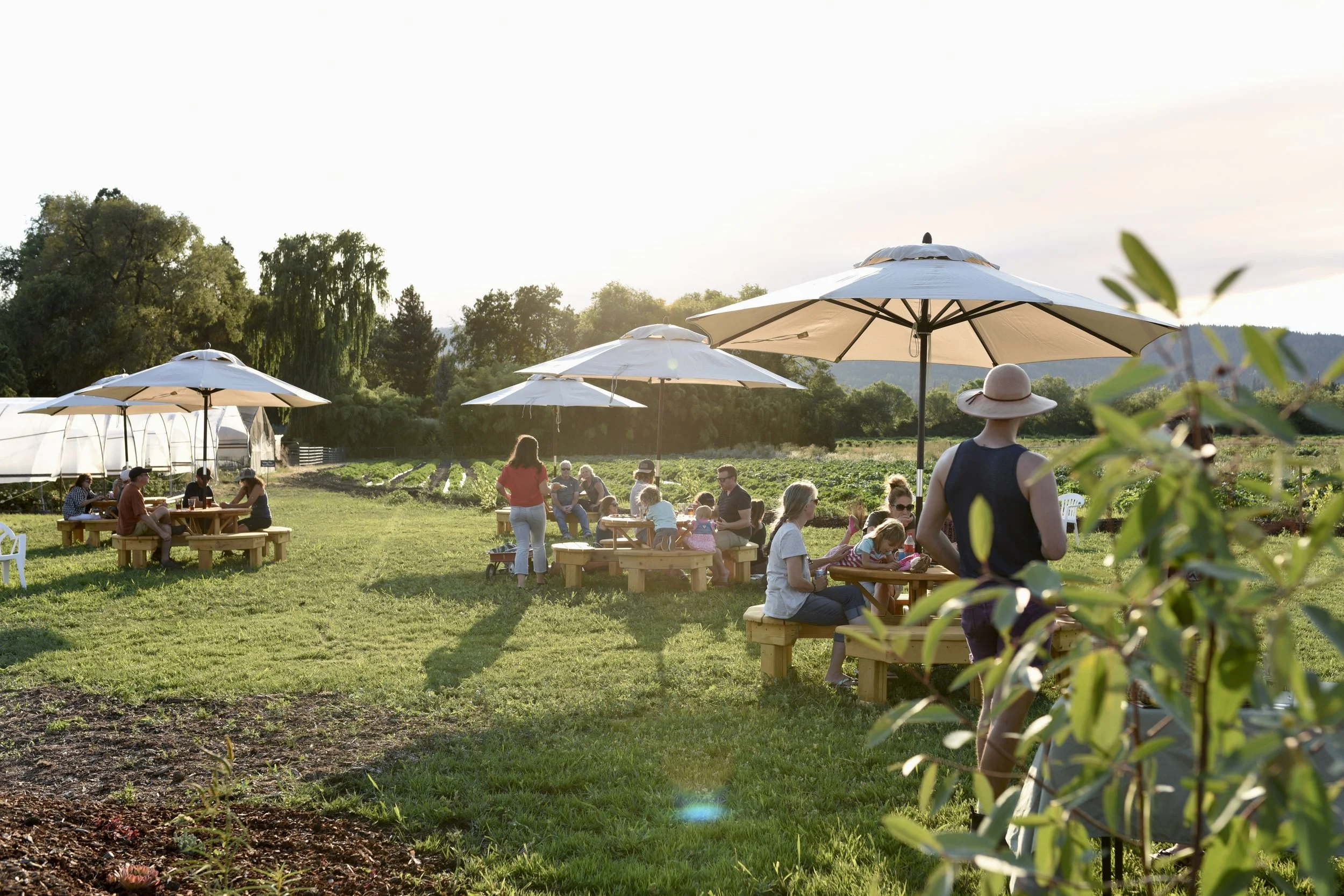 Brother Brothers Concert August 10th