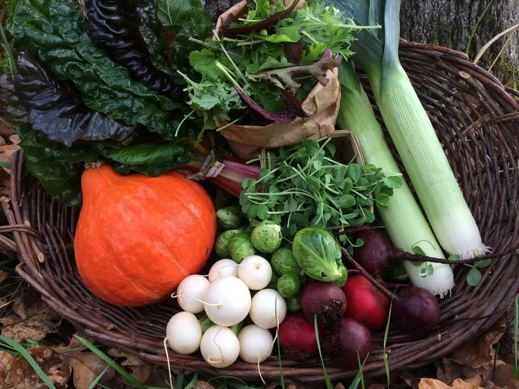 Wanted! CSA Pick Up Location!