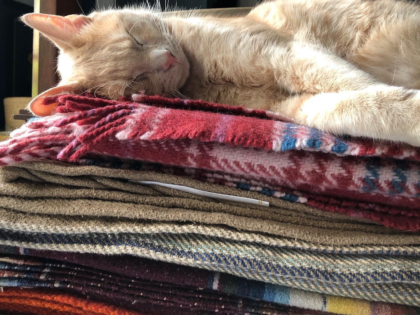 Sunday vibe: a stack of favorite blankets, air conditioning, a movie, and a nap. August 2020. Covid and 2 hurricanes. #blakewoodsdesign #cricketwood #catsofinstagram #sundaynap #nap #loveislove #itshotoutside🔥 #hurricanepreparedness #summerofcovid #