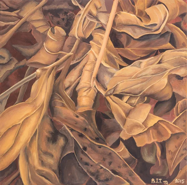 Last Year's Leaves