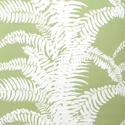 Ferns