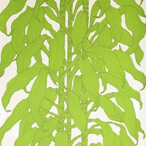 maise_corn_green-257-800-600-100.jpg