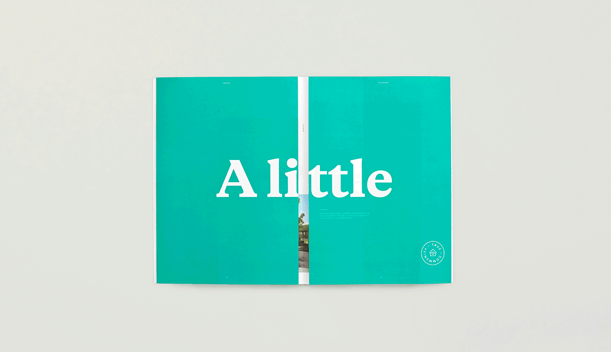 Little Green - Brand Identity