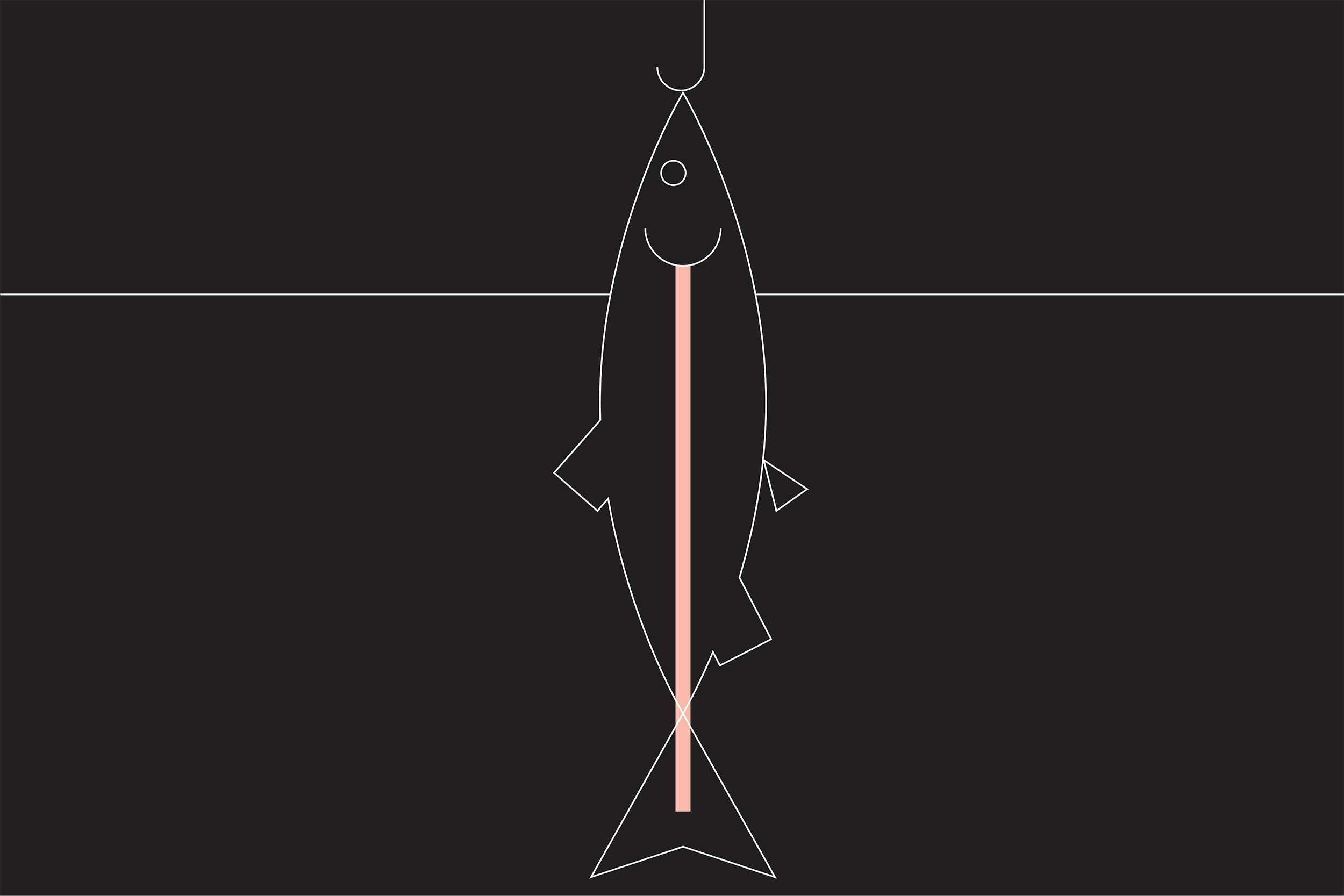 FISH ILLUSTRATIONS-03.png