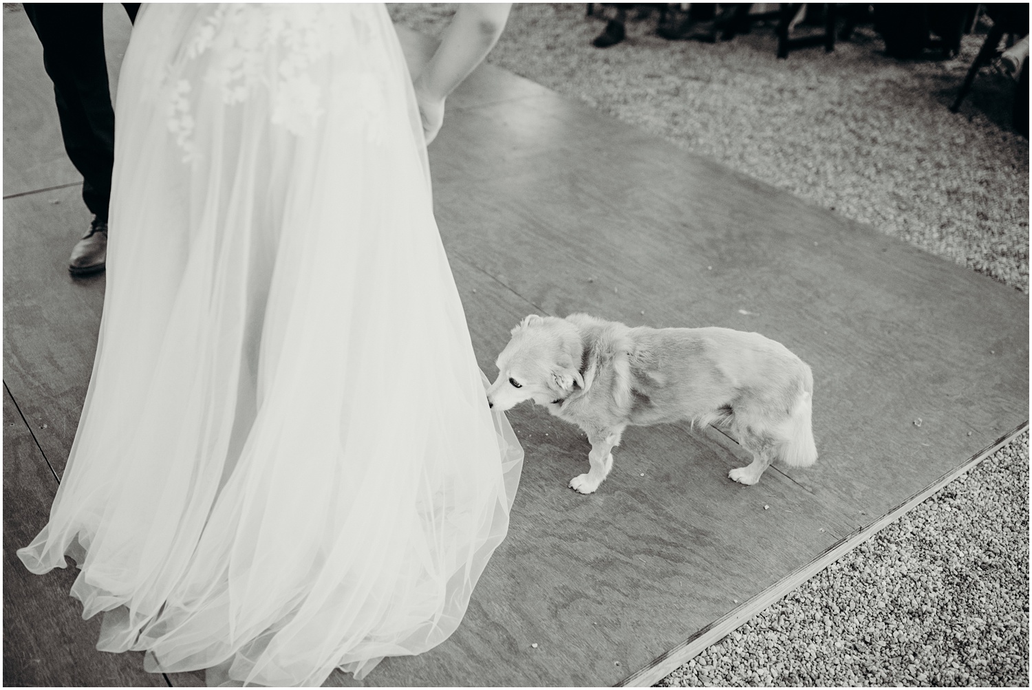 Katie&JoshWedding-blog36o.jpg