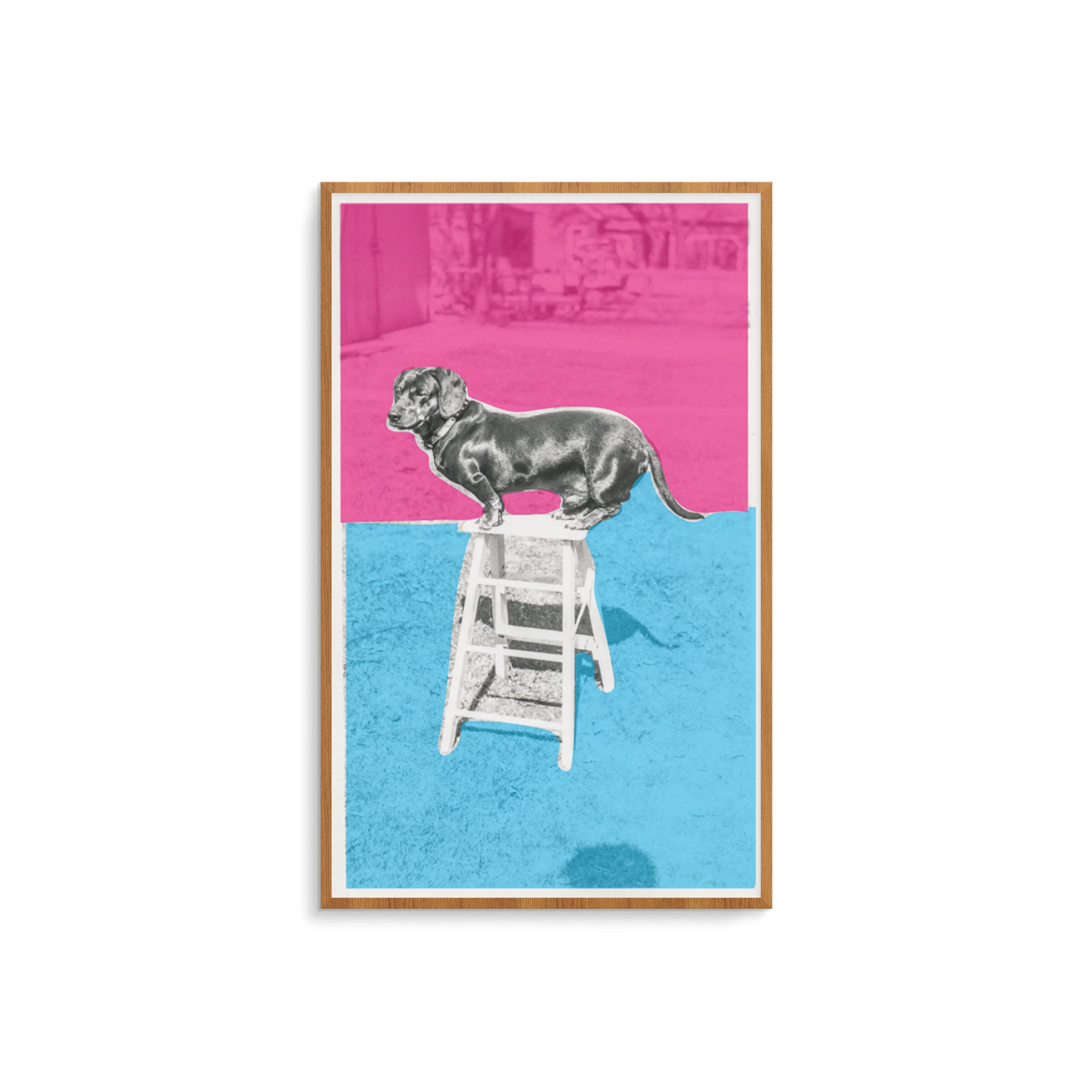 VCA_Wall_Art_Prints_6.jpg