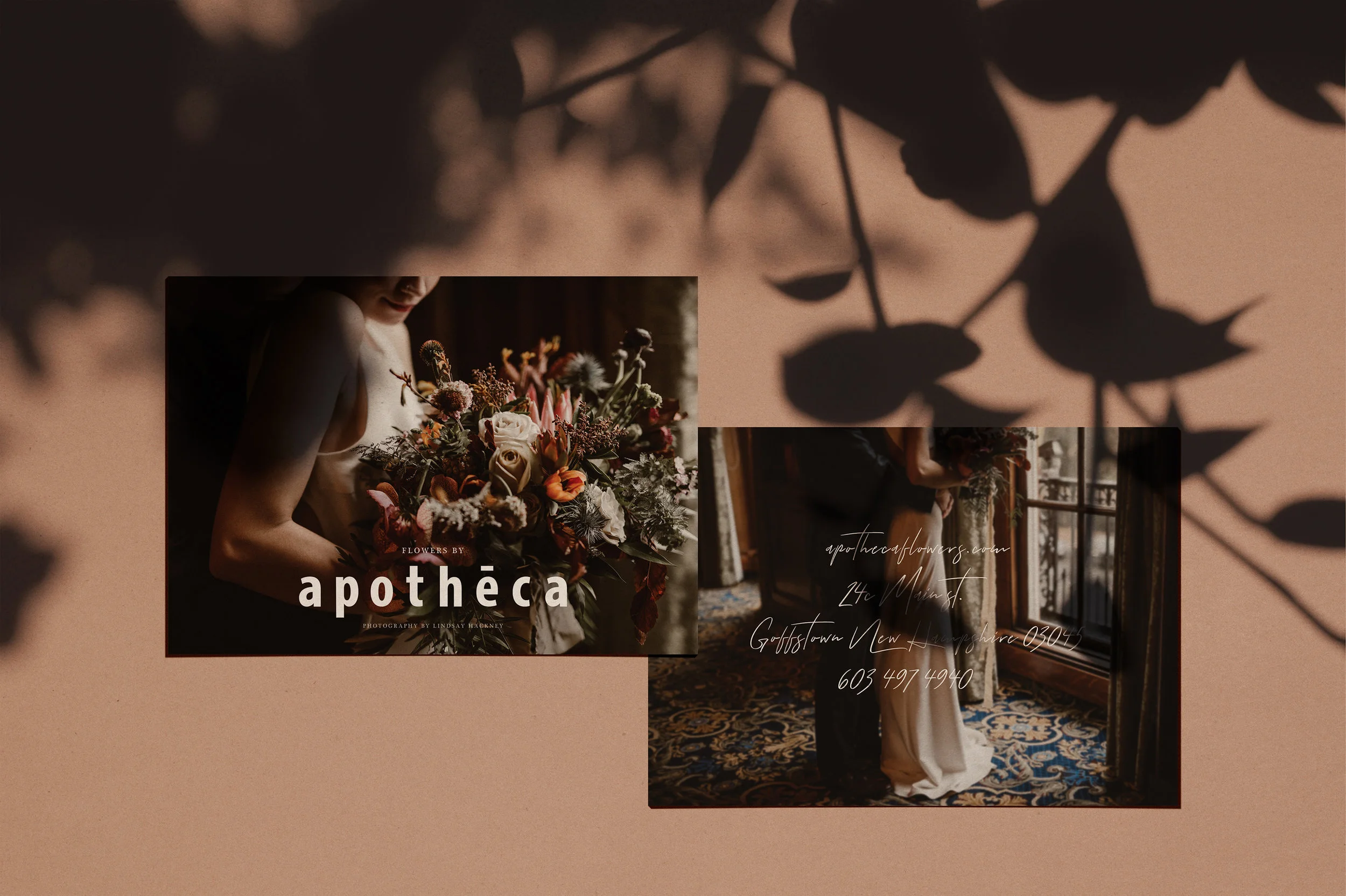 Matthew_Radwan_Apotheca_Postcard_2018.jpg