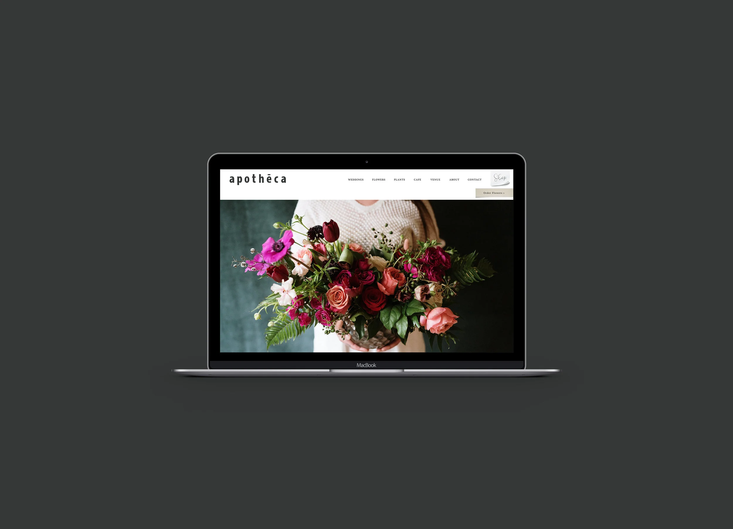 Apotheca_laptop_mockup.jpg