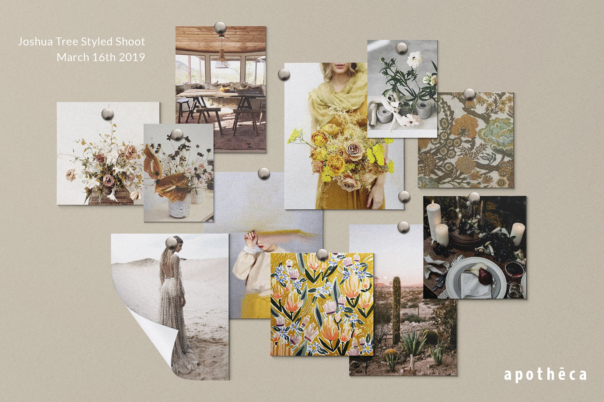 Joshua_Tree_Lindsay_Hackney_Apotheca_March_16.jpg