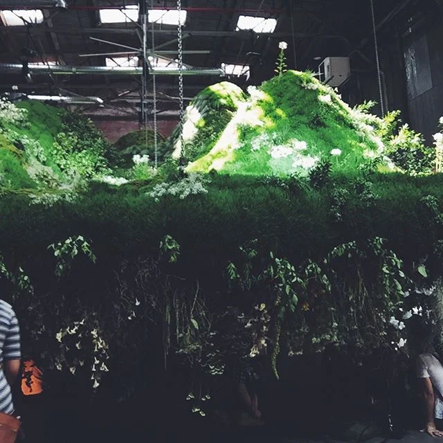 💐🌿🌸🧚🏼&zwj;♂️