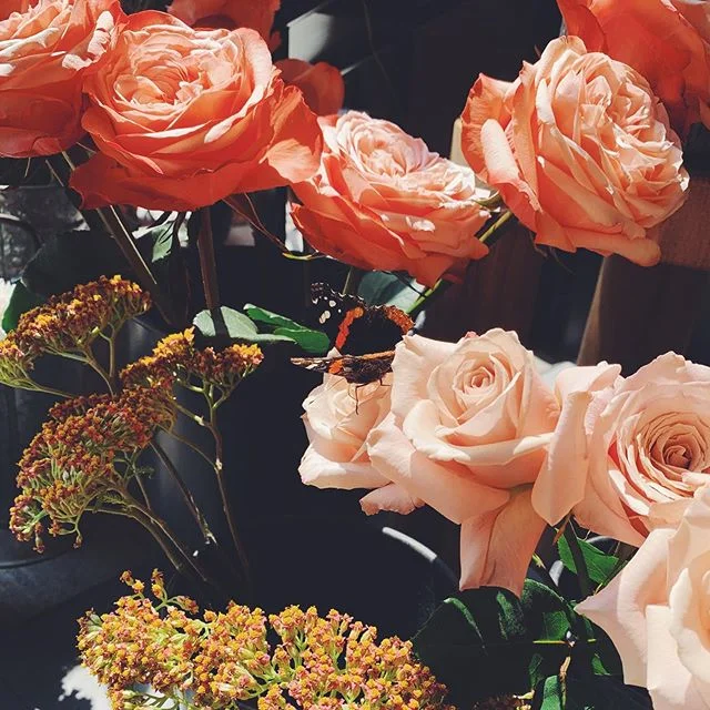 Actually Heaven 🦋