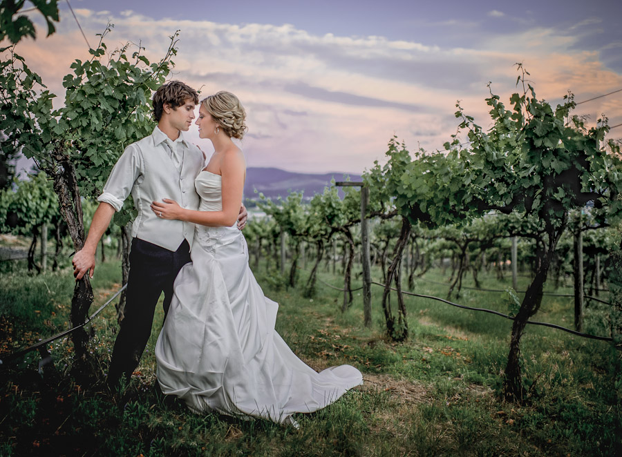 16 Matt Shumate - Vineyard.jpg