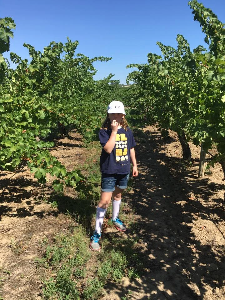 You're never too young to start learning the joys of grape juice, as a third generation of the Arbor Crest family discovers the Bacchus Vineyard