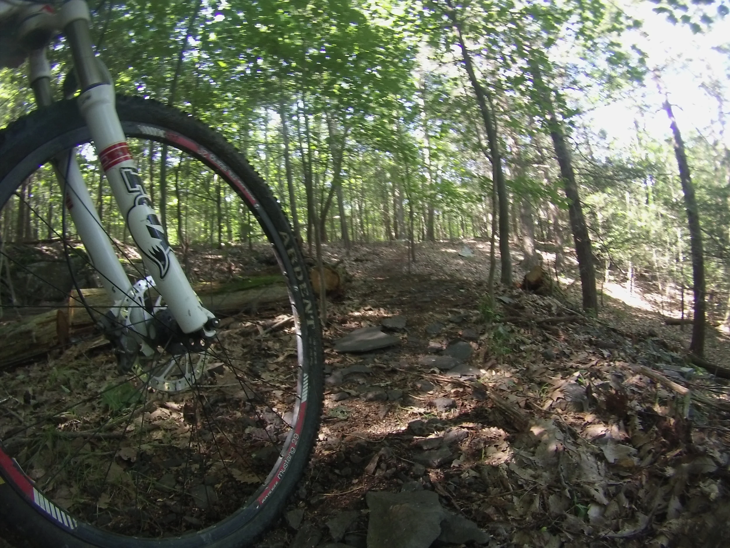 JockeyHillNewTrail-GOPR0023.JPG