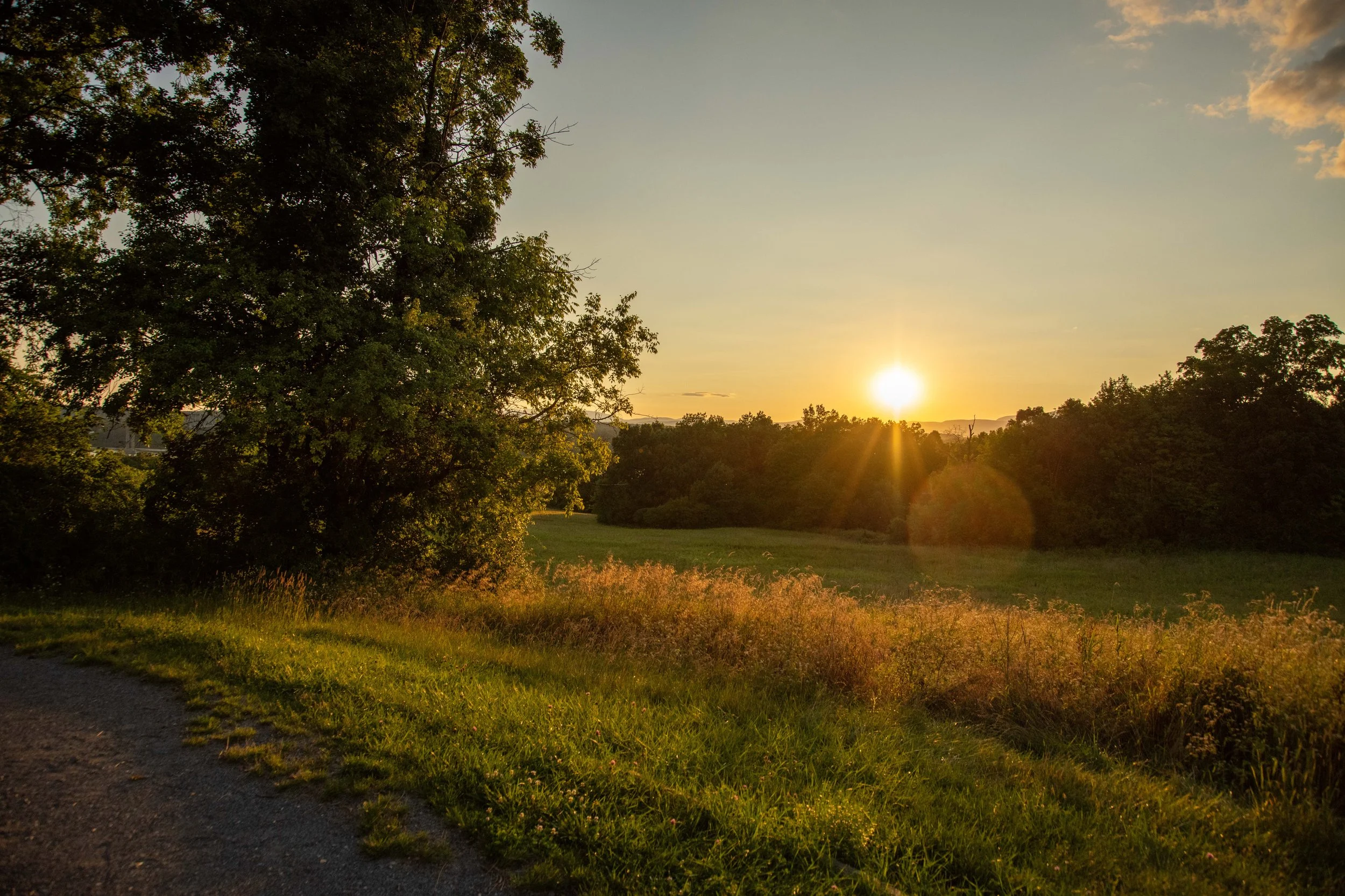 Poet's-Walk-with-Grandkids-size-35.jpg