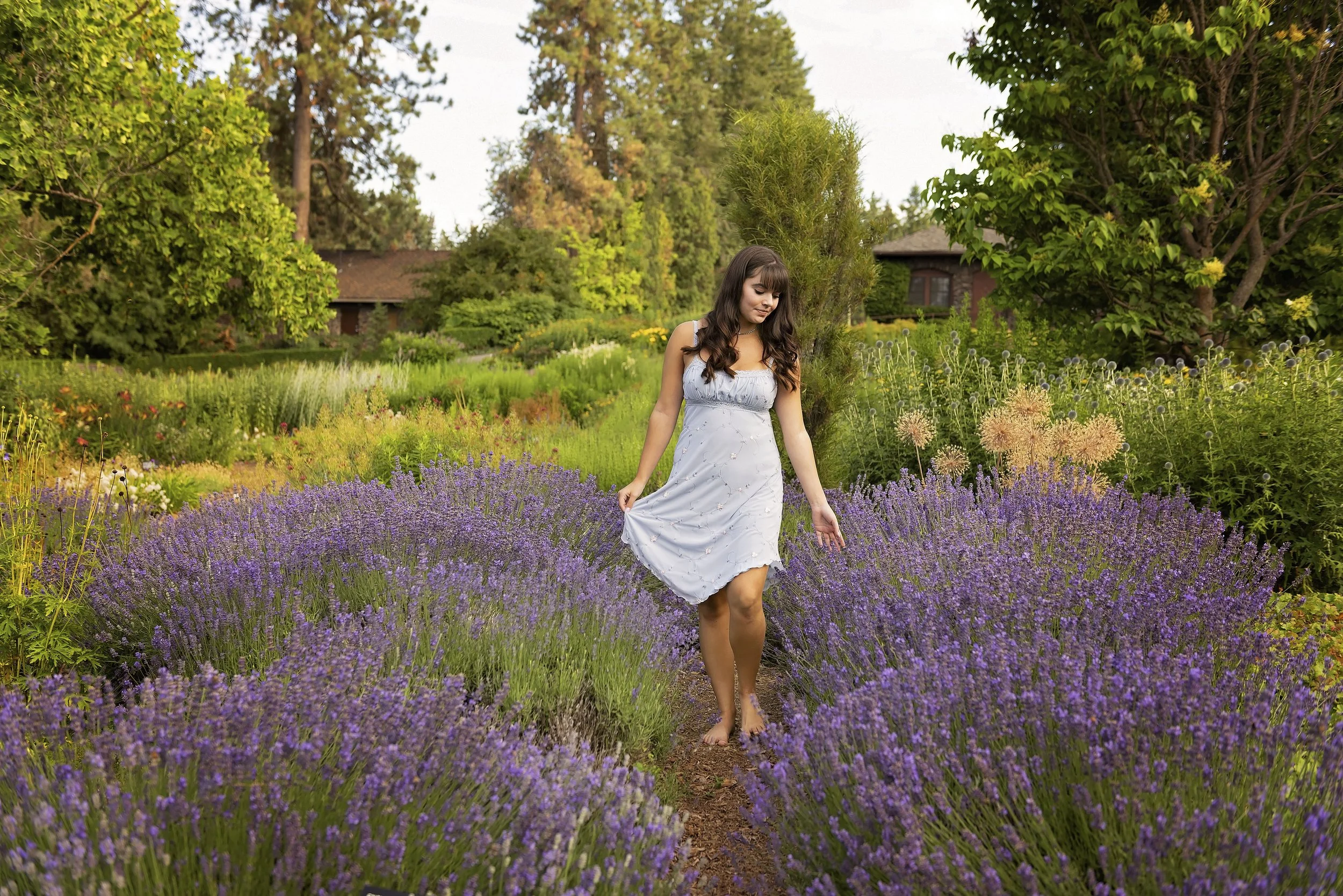 lavendar field spokane wa.jpg