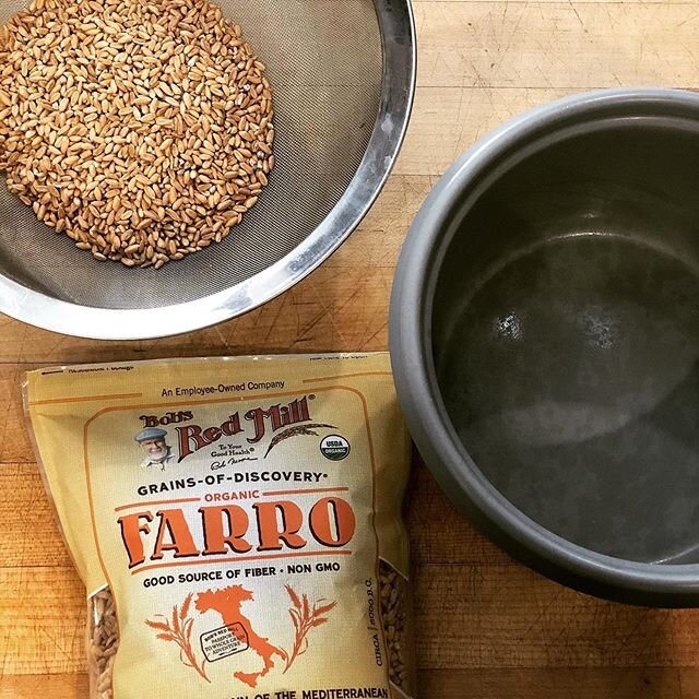 Today I am making Farro for dinner in our rice maker! It&rsquo;s still a grain people don&rsquo;t think about that&rsquo;s so yum! ⠀
⠀
&bull; &bull; &bull; ⠀
I am always trying to get a wide variety of grain into our diets.&nbsp;&nbsp;Most people get