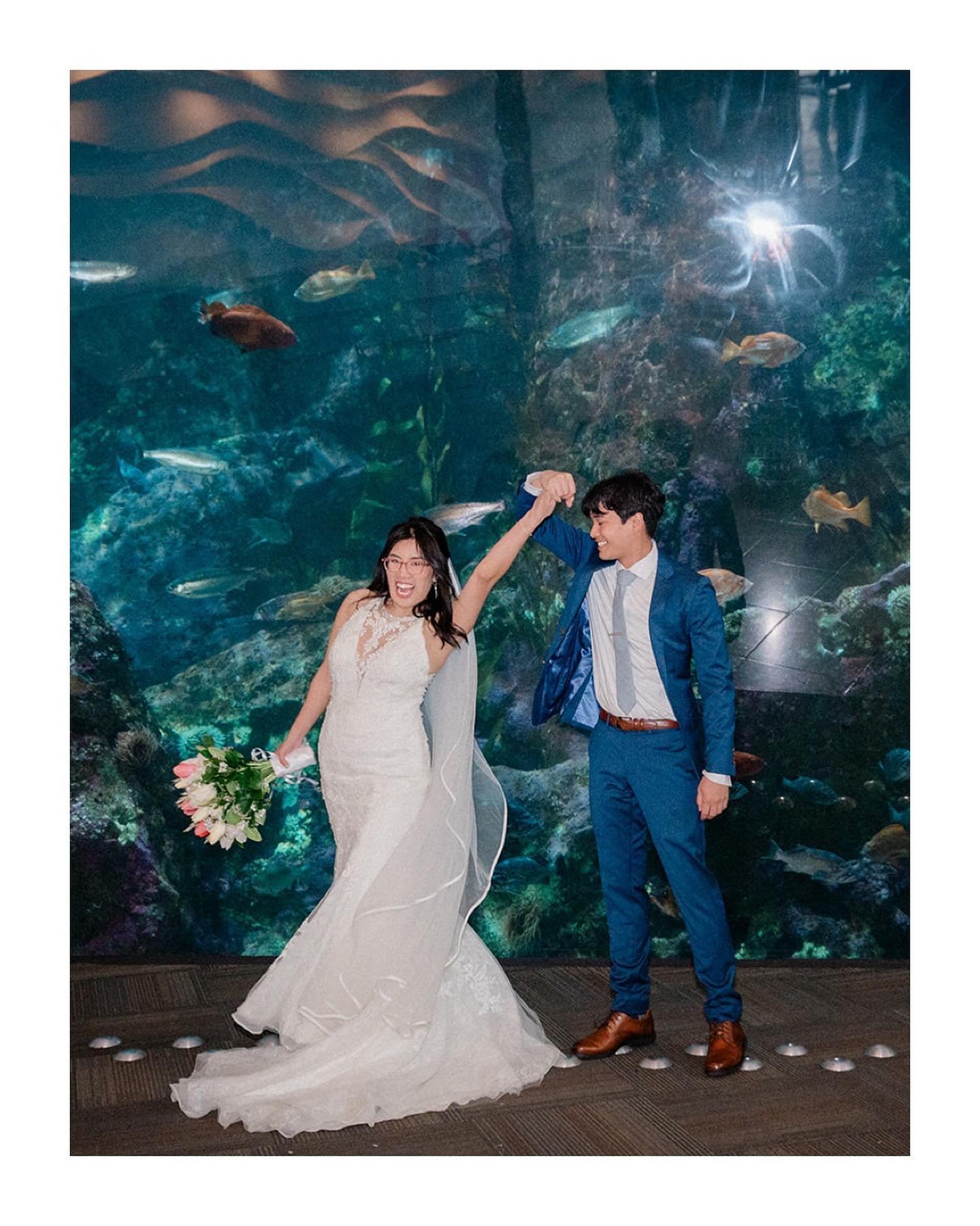 this wedding renewal at the @seattleaquarium was an absolute blast! thank you to j &amp; b for having me!!! 🌊&hearts;️🐟

wedding vendors: 

venue @seattleaquarium 

catering &amp; event staffing/planning @oakviewgroup led by dante! xo 

#seattlewed