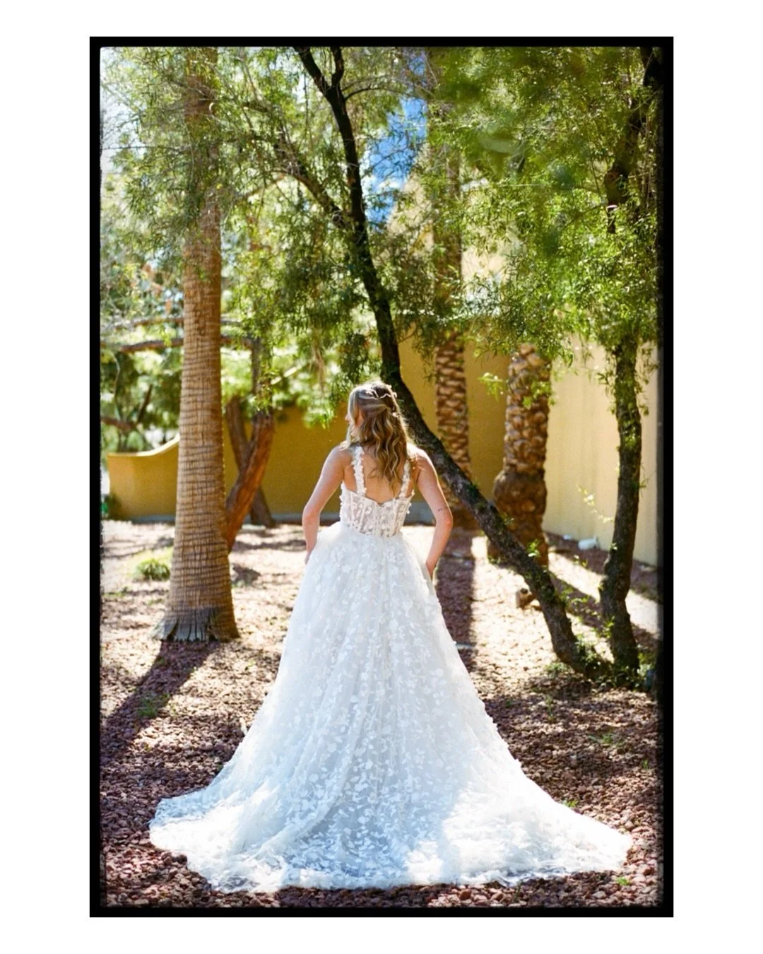 sunlight and film grain, the way vegas was made to be photographed. this bridal editorial came together during a photo walk at wppi, shot entirely on 35mm film for that warm, timeless texture, soft highlights, true skin tones, a little grit in the sh
