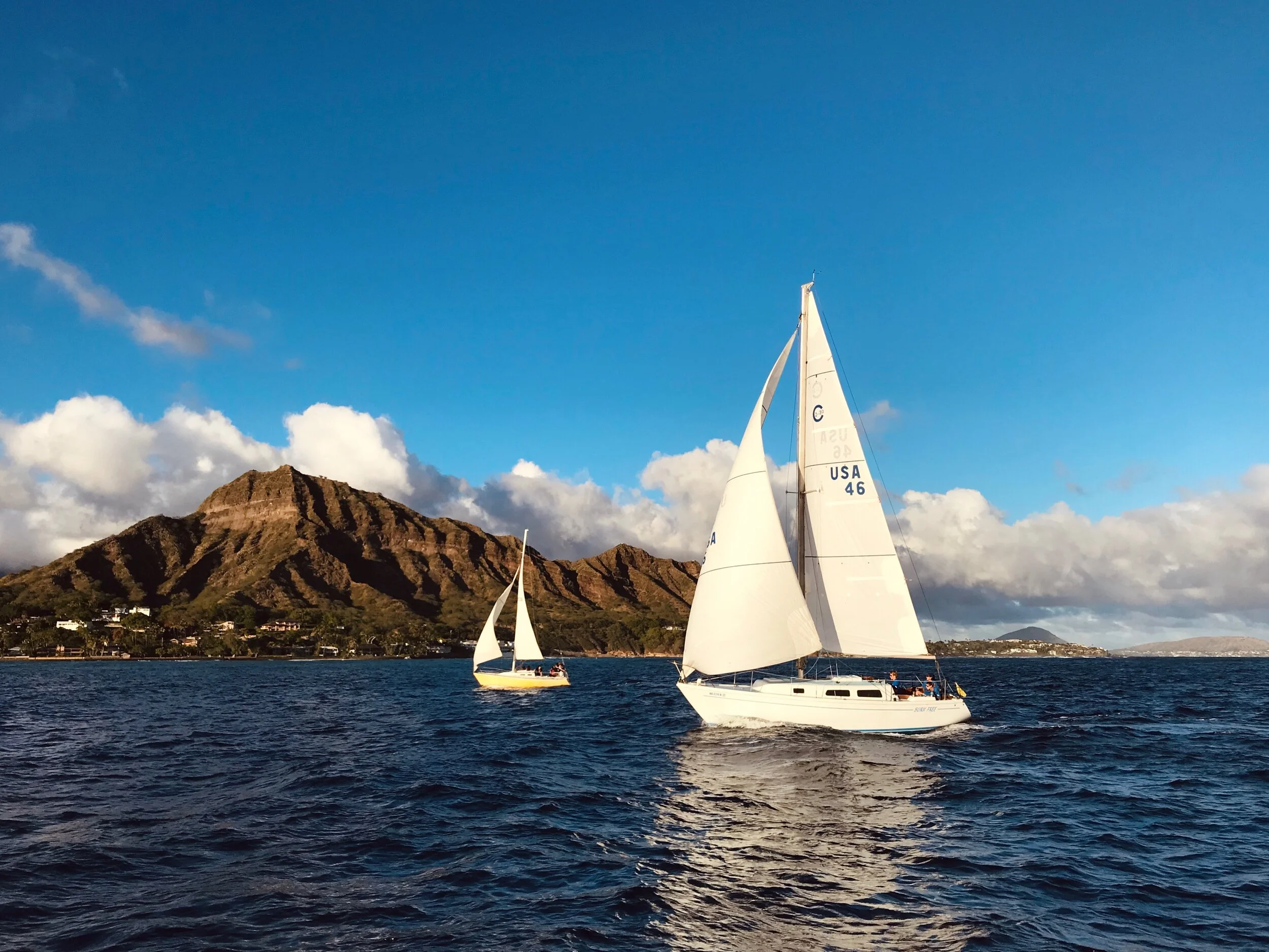 MLH Website Cover Photo.JPEG