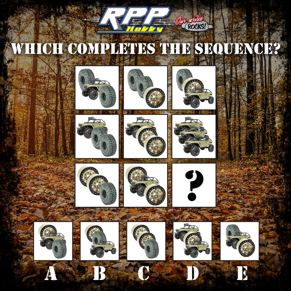 rpp-puzzle-sequence1.jpg