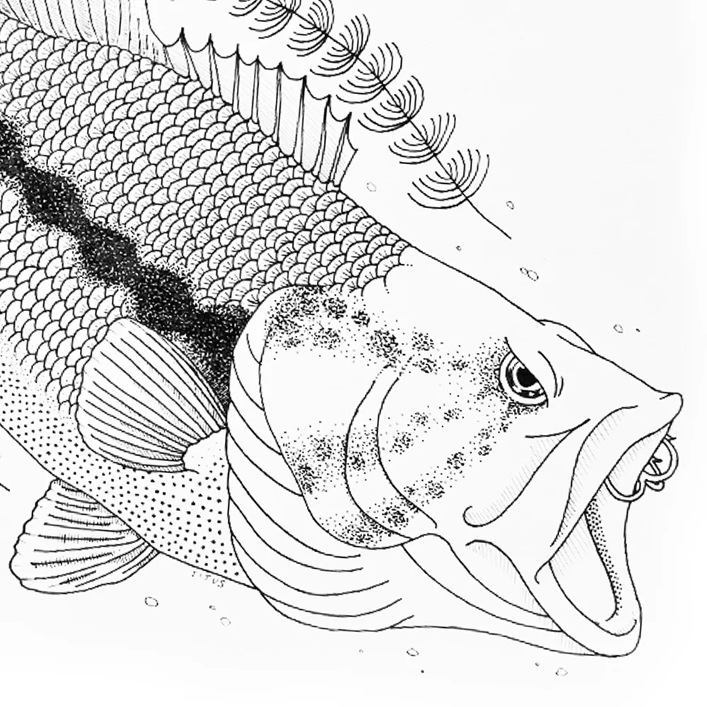 fish-icon.jpg
