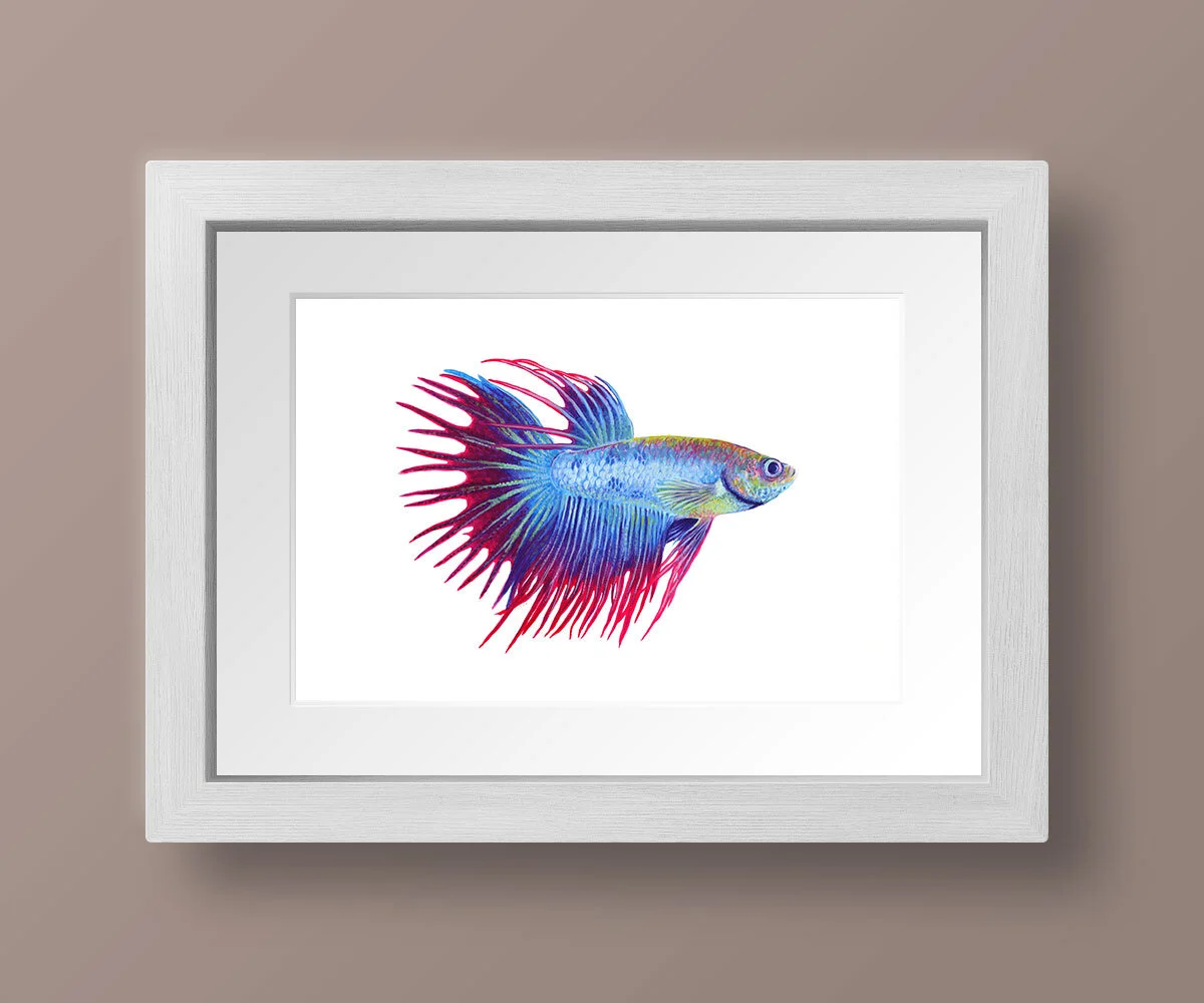 fish08.jpg