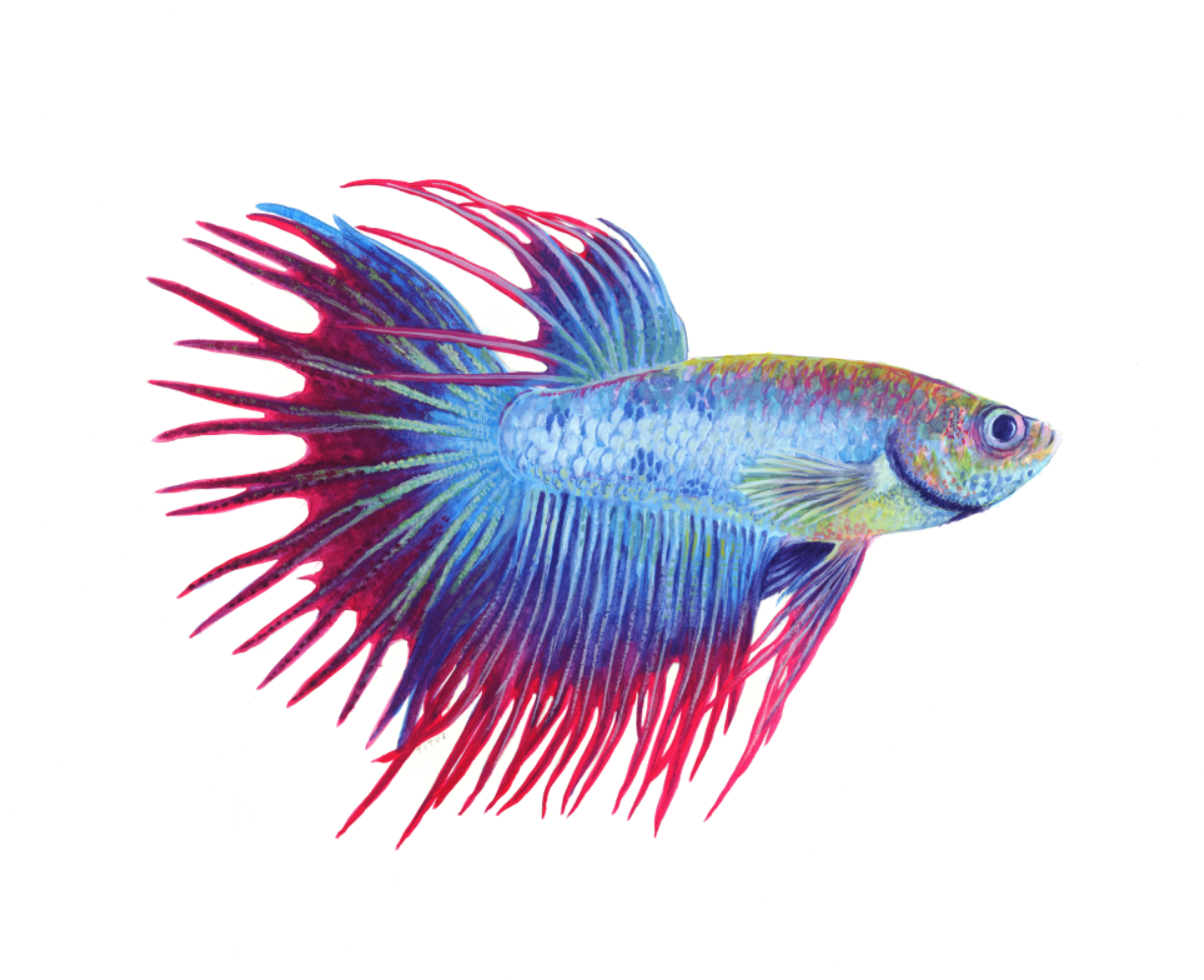 Screen Shot 2019-03-06 at 5.13.52 PM.png